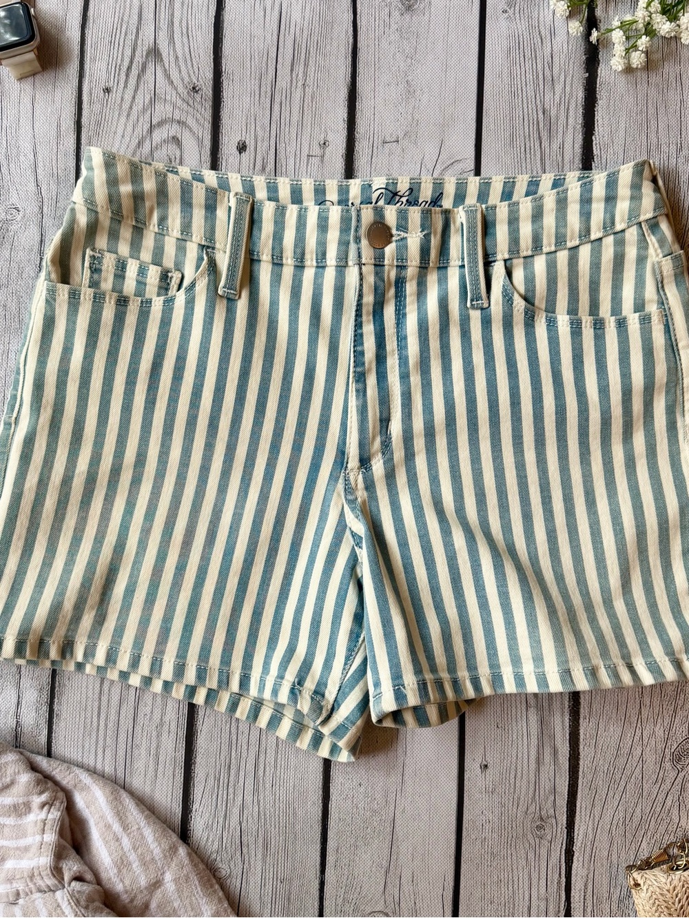 Universal Thread Blue and Cream Vertical-Stripe Jean Shorts